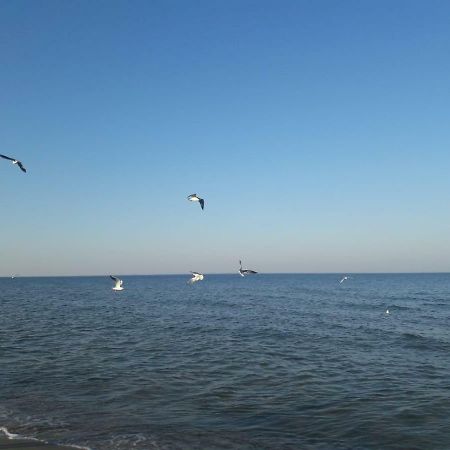 Kuestenwilla Fewo Usedom Zinnowitz Exterior photo
